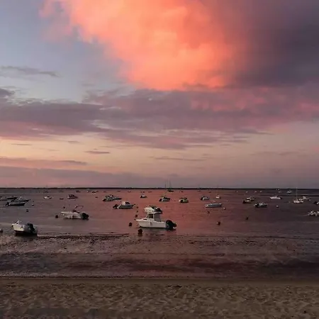 Tatil Evi Maison A Avec Piscine Hors-sol Arcachon